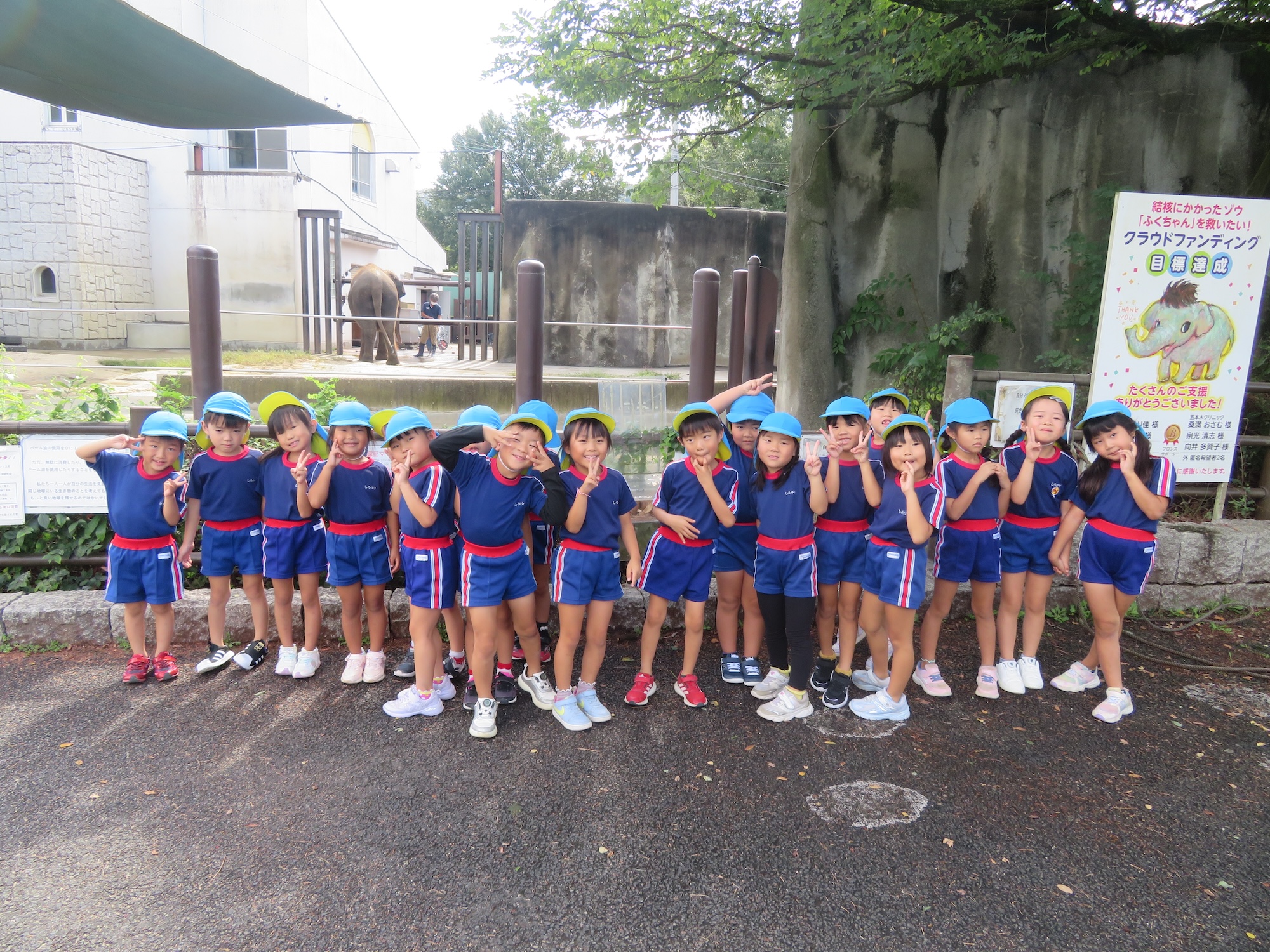 白ゆり幼稚園行事ページのイメージ画像