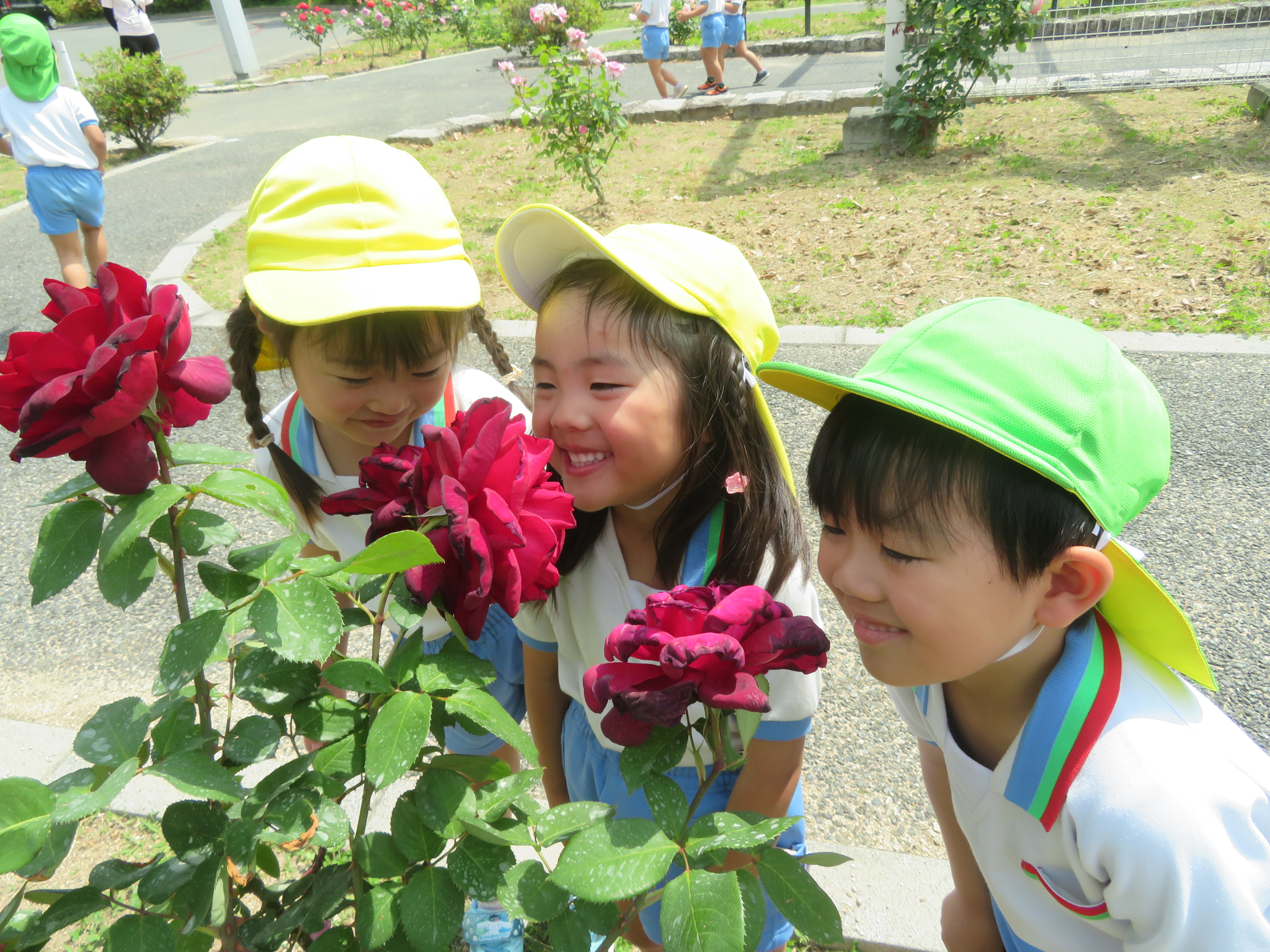 白ゆり幼稚園の教育に対するイメージ画像